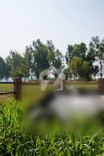366 Kanal Agricultural Land For Sale Near Manga Mandi, Lahore Prime Investment Opportunity