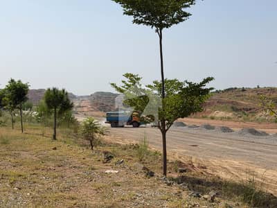 4 Marla Main Rose Avenue Commercial, Rose Block, DHA Phase 7