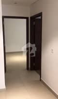 5 5