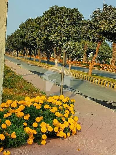 محافظ ٹاؤن گوجرانوالہ میں 4 مرلہ کمرشل پلاٹ 2.75 کروڑ میں برائے فروخت۔