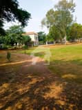 8 8