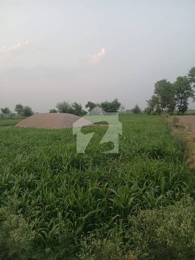 جاتی عمرہ روڈ لاہور میں 32 کنال زرعی زمین 3.2 کروڑ میں برائے فروخت۔