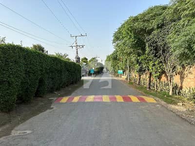 صوفیہ فارم ہاؤسز بیدیاں روڈ,لاہور میں 4 کنال رہائشی پلاٹ 6.4 کروڑ میں برائے فروخت۔