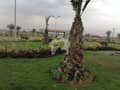9 9