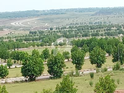DHA Valley Islamabad Bluebell Block 8 Marla Top Height Location Solid Lind Plot Available Plot No 25 St 20 DHA Valley Islamabad Bluebell Block 8 Marla Top Height Location Solid Lind Plot Available Plot No 25 St 20