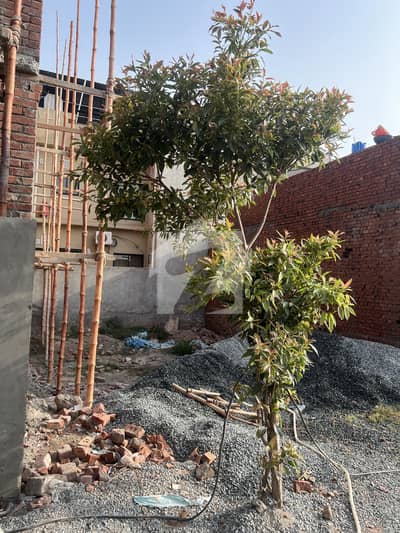 5 Marla Residential Plot Up For Sale In Park View City - Tulip Overseas 5 Marla Residential Plot Up For Sale In Park View City - Tulip Overseas
