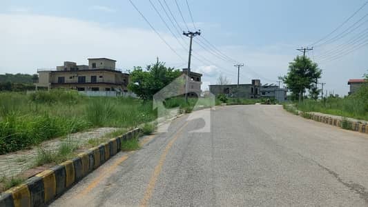 Plot For Sale With A Beautiful Location