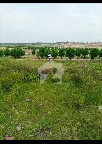 Plot For Sale In DHA Phase 6 Sector B3 Plot For Sale In DHA Phase 6 Sector B3