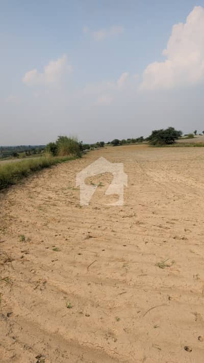 65 Kanal Agricultural Land For Sale Near Kallar Kahar, Chakwal