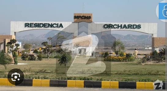 Multi Orchard 10 Knal Farmhouse Plot For Sale
