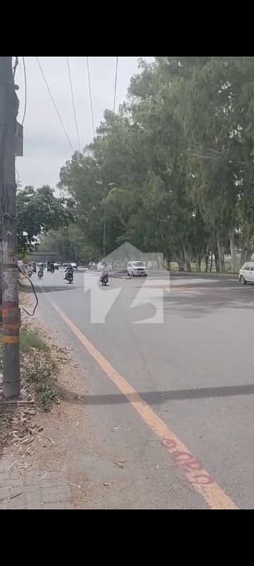 6 Kanal Plot For Rent Near MM Alam Road