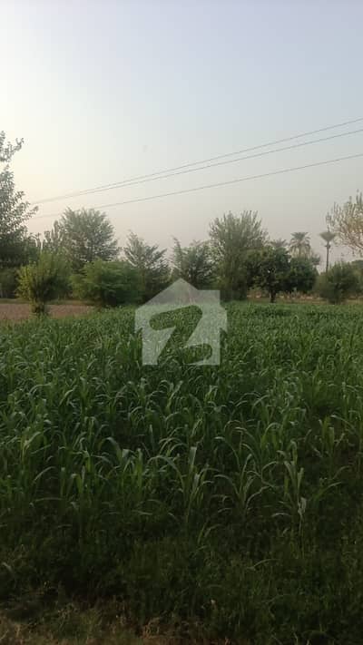 801 Double road plot for sale G14/1