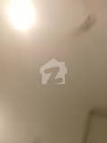7 7