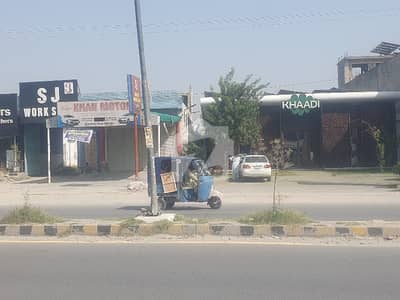 Commercial Hall Only For Brands