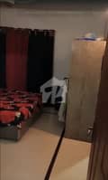 6 6