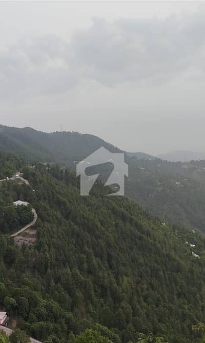 نتھیا گلی ایبٹ آباد میں 30 کنال رہائشی پلاٹ 9.0 کروڑ میں برائے فروخت۔