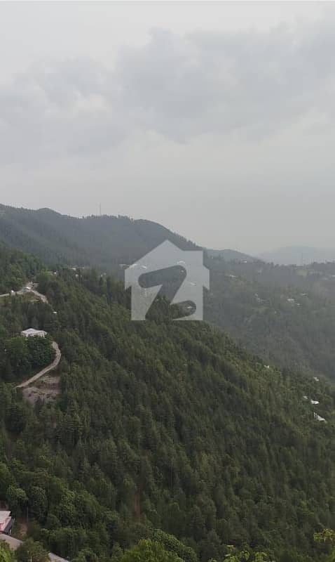 نتھیا گلی ایبٹ آباد میں 30 کنال رہائشی پلاٹ 9.0 کروڑ میں برائے فروخت۔ نتھیا گلی ایبٹ آباد میں 30 کنال رہائشی پلاٹ 9.0 کروڑ میں برائے فروخت۔