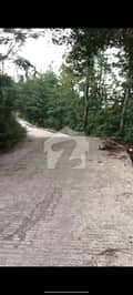 1 1