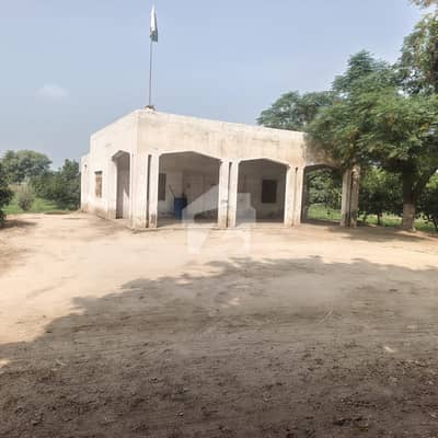 Fertile Agricultural Land For Sale Chichawatni, District Sahiwal