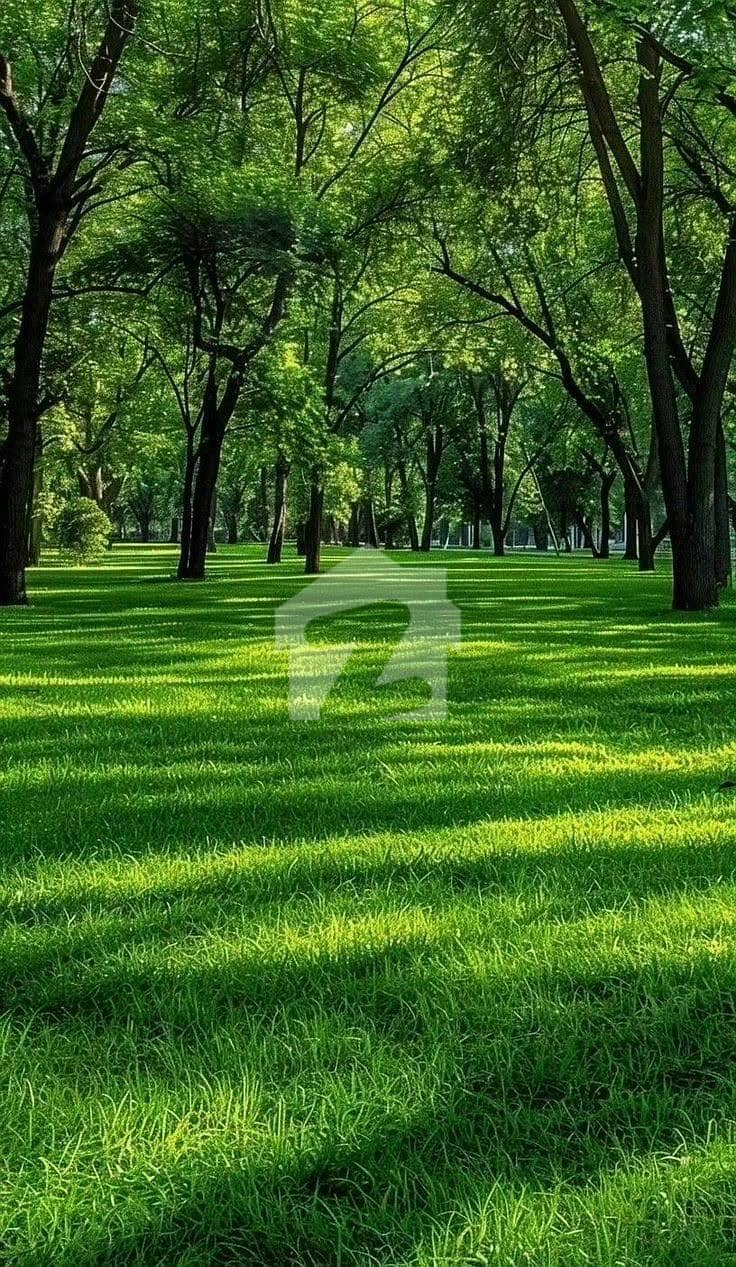 5 5