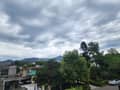 20 20