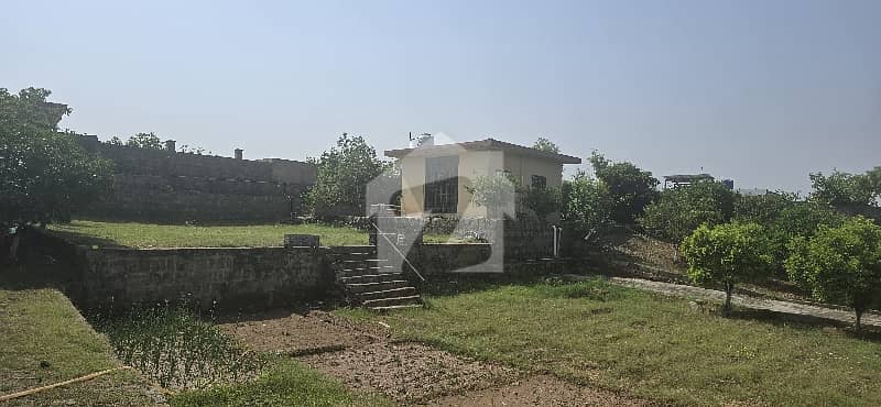 Farmhouse 5 Kanal Is For Sale Farmhouse 5 Kanal Is For Sale