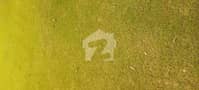 1 1