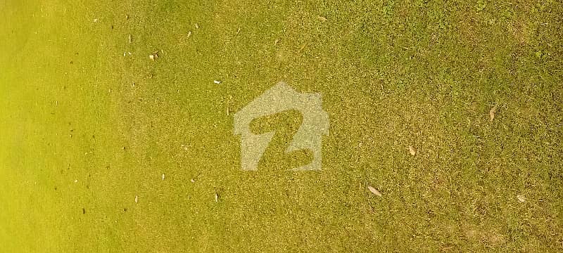25*50 plot available in i-12/3 25*50 plot available in i-12/3