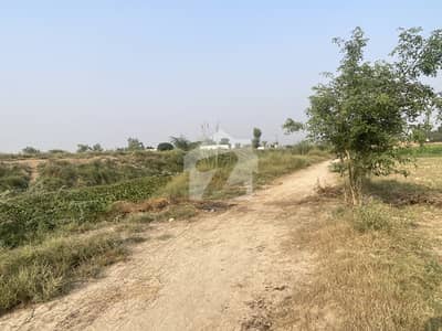 فیروزپور روڈ لاہور میں 136 کنال صنعتی زمین 54.4 کروڑ میں برائے فروخت۔
