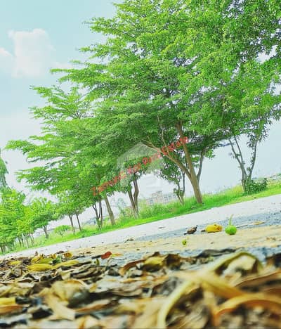 CORNER Plot | Sector 3B | VVIP Location For House Construction