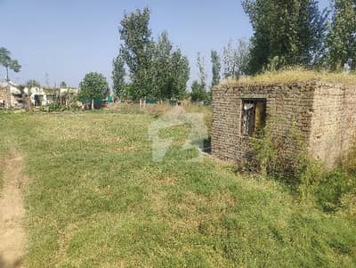 6.5 Kanal For Sale Residential Plus Agriculture Land