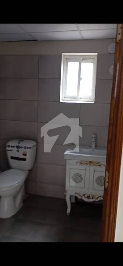 Brand New And Beautiful Apartment For Rent.