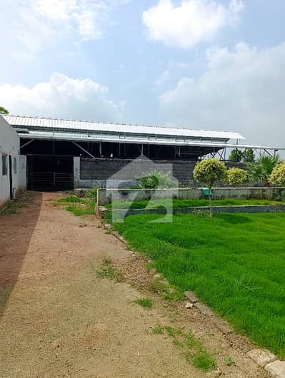Farm House Available For Rent In Shah Allah Ditta Islamabad Near Margalla Highway Road