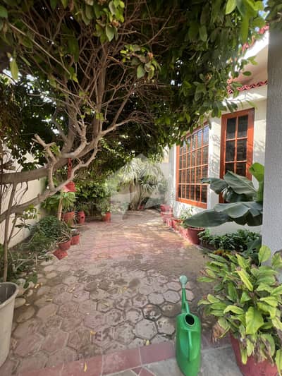 500 Yards Bungalow Dha Phase 6 500 Yards Bungalow Dha Phase 6