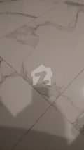 3 3