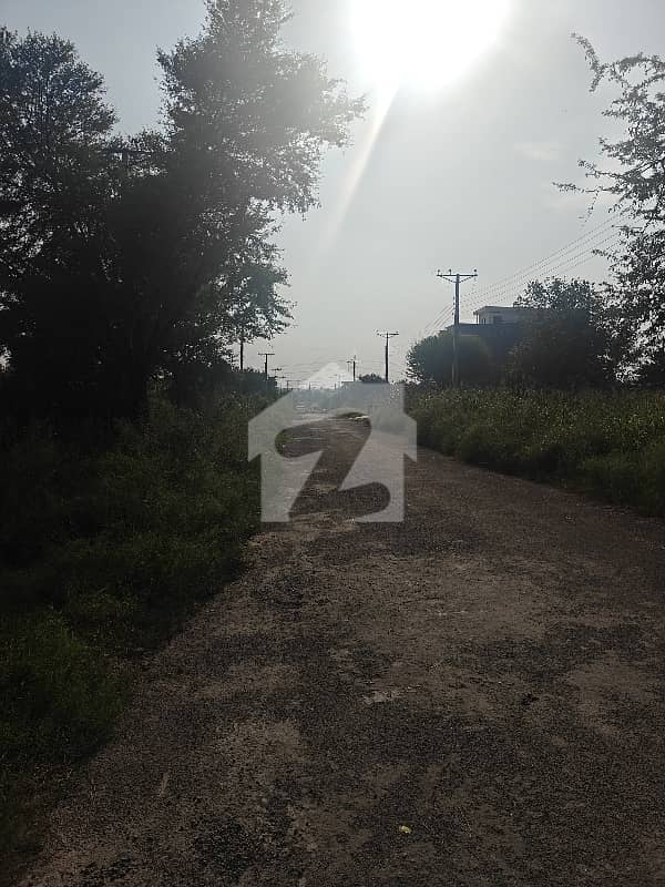 3 3