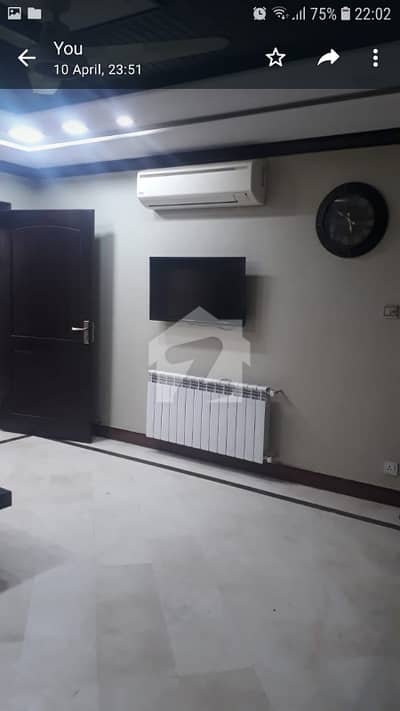 Ground Portion 40x80 For Rent