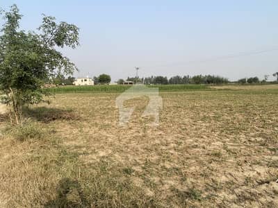 بیدیاں روڈ لاہور میں 20 کنال زرعی زمین 30.0 لاکھ میں برائے فروخت۔