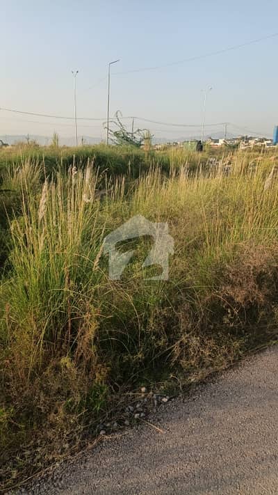 1 Kanal ideally Location plot for sale in G-14/3