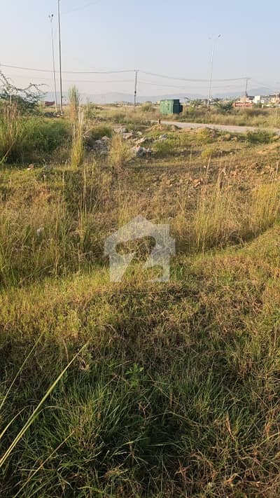40x80 Plot For Sale On Ideal Location In G-14/3