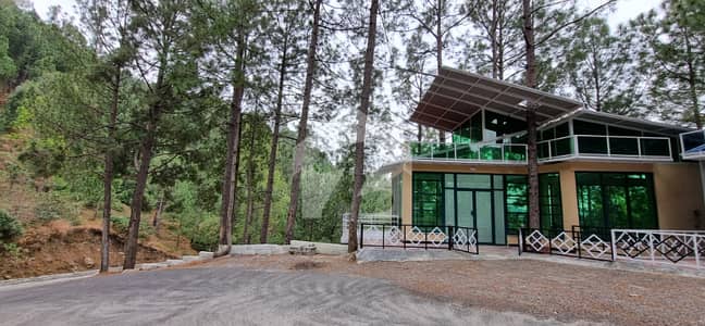 "Green House" Where the Mountains Whisper & Nature Embraces You