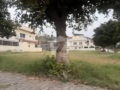 10 Marla Plot For Sale