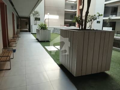 Beautiful Apartment For Rent Prime Location