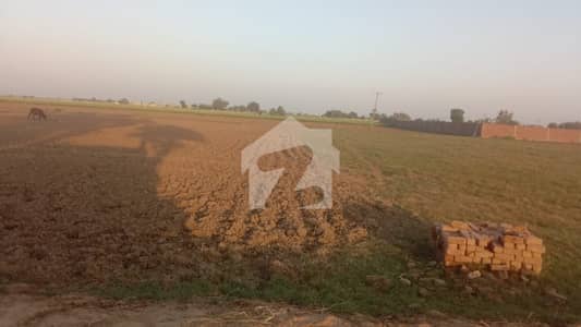 Pasrur Road Agriculture Land Available For Sale Invester Rate