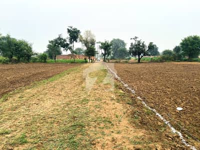 1 2 4 Kanal Farm House Land Fore Sale Moza Jahman
