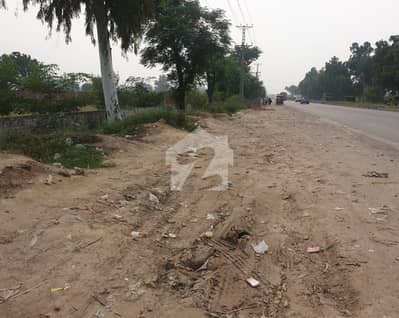 ملتان روڈ لاہور میں 480 کنال زرعی زمین 52.8 ارب میں برائے فروخت۔