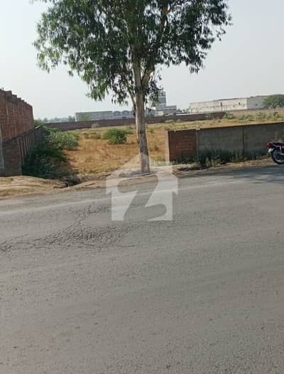 ملتان روڈ لاہور میں 21 کنال زرعی زمین 36.75 کروڑ میں برائے فروخت۔