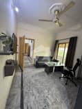 6 6