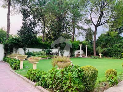 Beautiful House Available For Rent On Prime Location Beautiful House Available For Rent On Prime Location