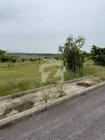 DHA Phase 6 Sector C3EXT Street 53